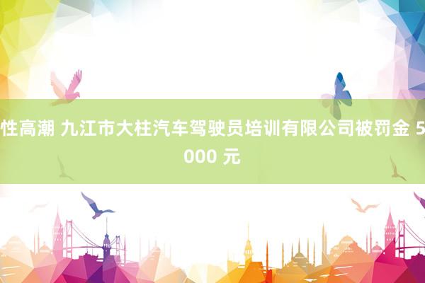 性高潮 九江市大柱汽车驾驶员培训有限公司被罚金 5000 元