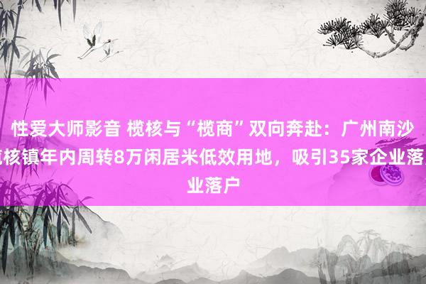 性爱大师影音 榄核与“榄商”双向奔赴：广州南沙榄核镇年内周转8万闲居米低效用地，吸引35家企业落户