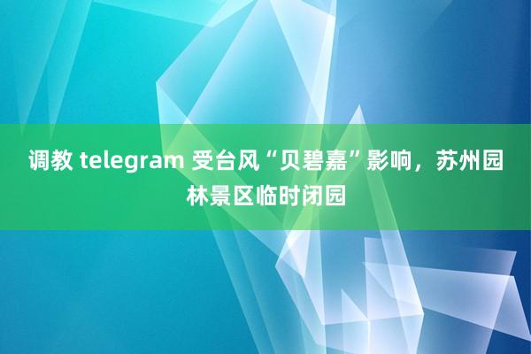 调教 telegram 受台风“贝碧嘉”影响，苏州园林景区临时闭园