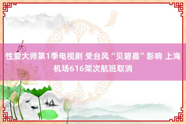 性爱大师第1季电视剧 受台风“贝碧嘉”影响 上海机场616架次航班取消