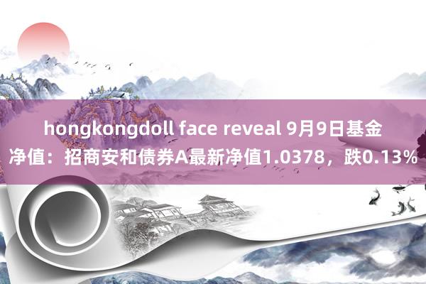 hongkongdoll face reveal 9月9日基金净值：招商安和债券A最新净值1.0378，跌0.13%