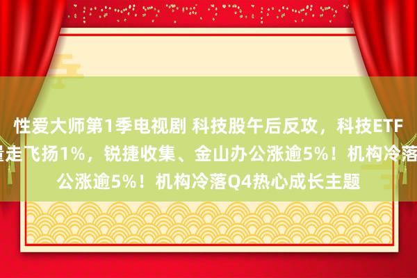 性爱大师第1季电视剧 科技股午后反攻，科技ETF（515000）放量走飞扬1%，锐捷收集、金山办公涨逾5%！机构冷落Q4热心成长主题