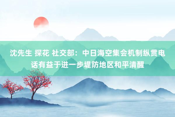 沈先生 探花 社交部：中日海空集会机制纵贯电话有益于进一步堤防地区和平清醒