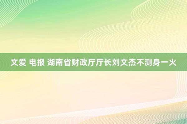 文爱 电报 湖南省财政厅厅长刘文杰不测身一火