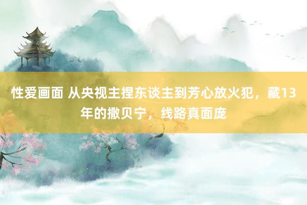 性爱画面 从央视主捏东谈主到芳心放火犯，藏13年的撒贝宁，线路真面庞