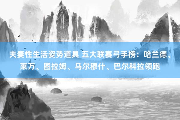 夫妻性生活姿势道具 五大联赛弓手榜：哈兰德、莱万、图拉姆、马尔穆什、巴尔科拉领跑