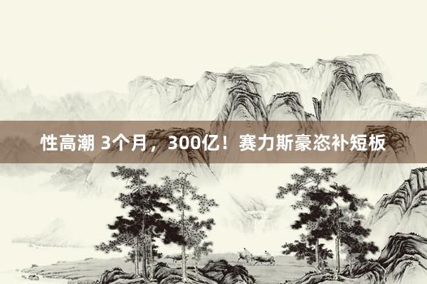 性高潮 3个月，300亿！赛力斯豪恣补短板