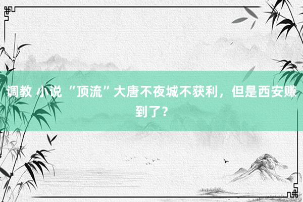 调教 小说 “顶流”大唐不夜城不获利，但是西安赚到了？