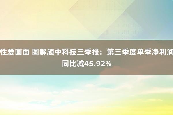 性爱画面 图解颀中科技三季报：第三季度单季净利润同比减45.92%