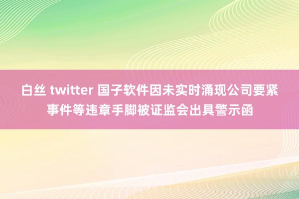 白丝 twitter 国子软件因未实时涌现公司要紧事件等违章手脚被证监会出具警示函