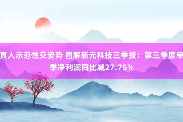 真人示范性交姿势 图解新元科技三季报：第三季度单季净利润同比减27.75%