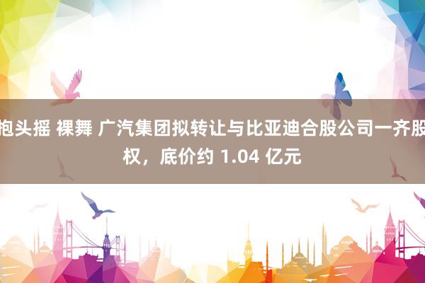 抱头摇 裸舞 广汽集团拟转让与比亚迪合股公司一齐股权，底价约 1.04 亿元