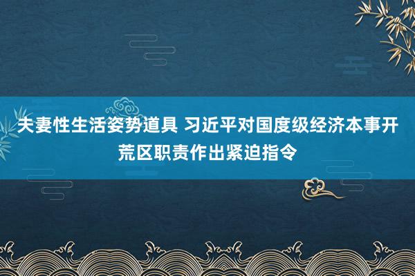 夫妻性生活姿势道具 习近平对国度级经济本事开荒区职责作出紧迫指令