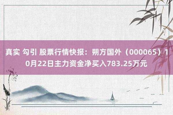 真实 勾引 股票行情快报：朔方国外（000065）10月22日主力资金净买入783.25万元