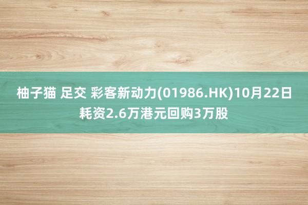 柚子猫 足交 彩客新动力(01986.HK)10月22日耗资2.6万港元回购3万股