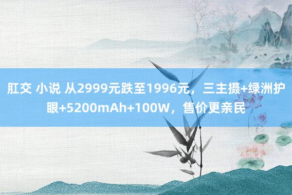 肛交 小说 从2999元跌至1996元，三主摄+绿洲护眼+5200mAh+100W，售价更亲民