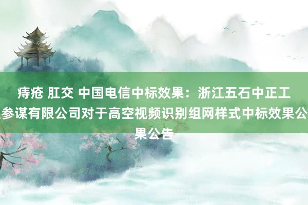 痔疮 肛交 中国电信中标效果：浙江五石中正工程参谋有限公司对于高空视频识别组网样式中标效果公告