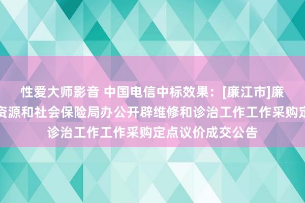 性爱大师影音 中国电信中标效果：[廉江市]廉江市东说念主力资源和社会保险局办公开辟维修和诊治工作工作采购定点议价成交公告