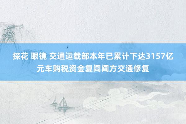 探花 眼镜 交通运载部本年已累计下达3157亿元车购税资金复闾阎方交通修复