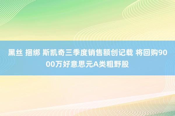 黑丝 捆绑 斯凯奇三季度销售额创记载 将回购9000万好意思元A类粗野股