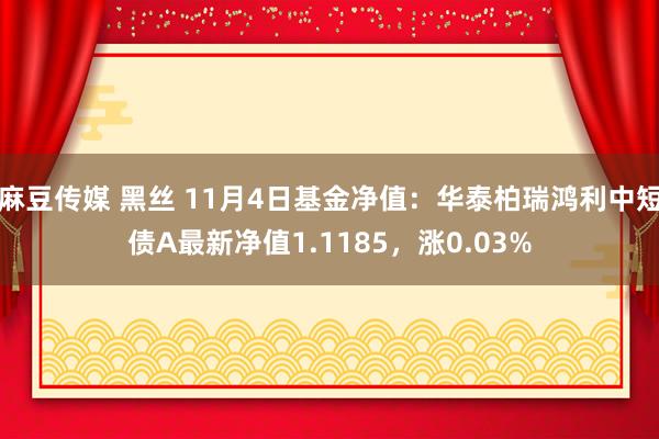 麻豆传媒 黑丝 11月4日基金净值：华泰柏瑞鸿利中短债A最新净值1.1185，涨0.03%