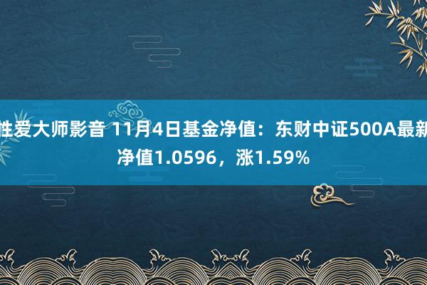 性爱大师影音 11月4日基金净值：东财中证500A最新净值1.0596，涨1.59%