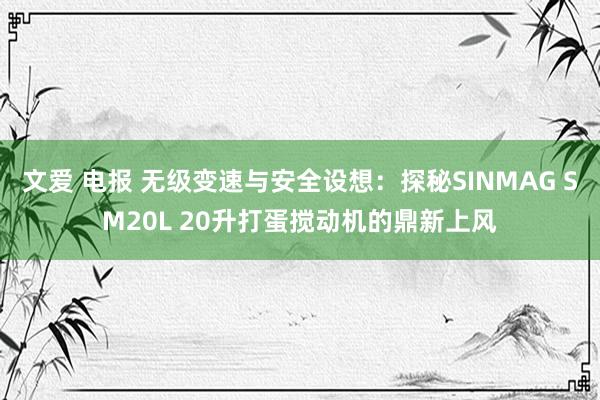 文爱 电报 无级变速与安全设想：探秘SINMAG SM20L 20升打蛋搅动机的鼎新上风