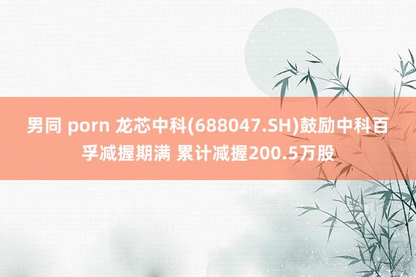 男同 porn 龙芯中科(688047.SH)鼓励中科百孚减握期满 累计减握200.5万股