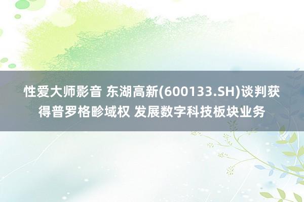 性爱大师影音 东湖高新(600133.SH)谈判获得普罗格畛域权 发展数字科技板块业务