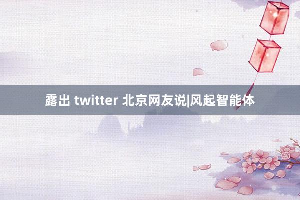 露出 twitter 北京网友说|风起智能体