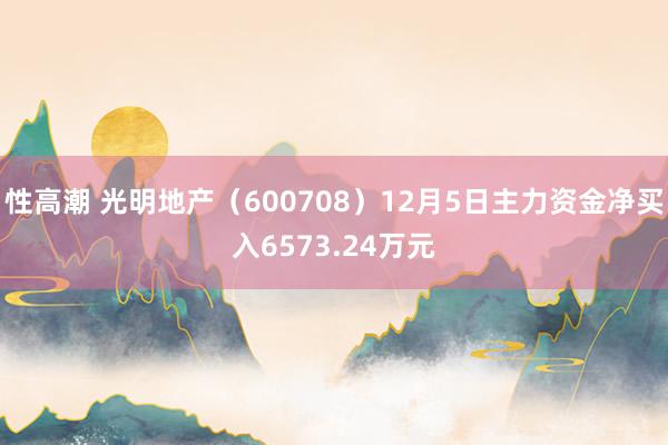 性高潮 光明地产（600708）12月5日主力资金净买入6573.24万元