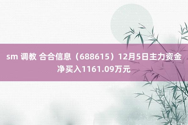 sm 调教 合合信息（688615）12月5日主力资金净买入1161.09万元