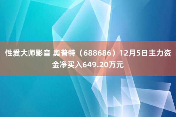 性爱大师影音 奥普特（688686）12月5日主力资金净买入649.20万元