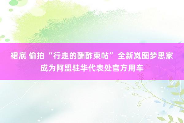 裙底 偷拍 “行走的酬酢柬帖” 全新岚图梦思家成为阿盟驻华代表处官方用车