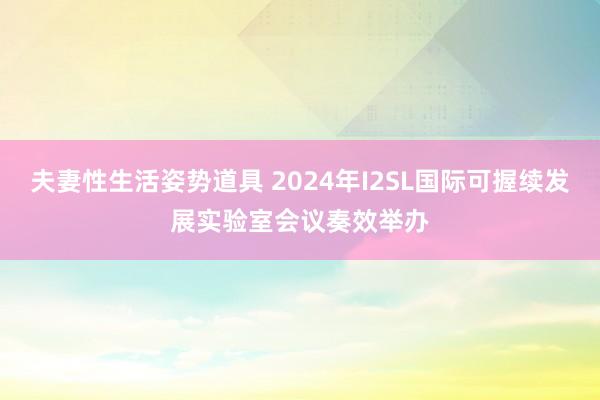 夫妻性生活姿势道具 2024年I2SL国际可握续发展实验室会议奏效举办