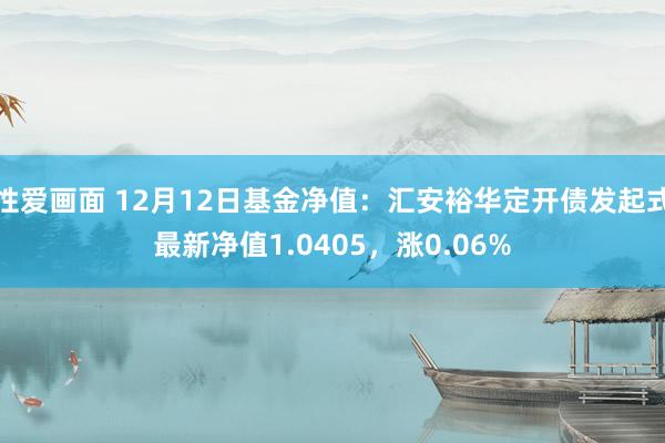 性爱画面 12月12日基金净值：汇安裕华定开债发起式最新净值1.0405，涨0.06%