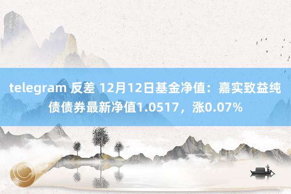 telegram 反差 12月12日基金净值：嘉实致益纯债债券最新净值1.0517，涨0.07%