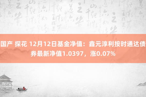 国产 探花 12月12日基金净值：鑫元淳利按时通达债券最新净值1.0397，涨0.07%