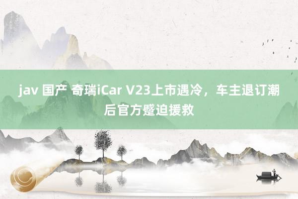 jav 国产 奇瑞iCar V23上市遇冷，车主退订潮后官方蹙迫援救