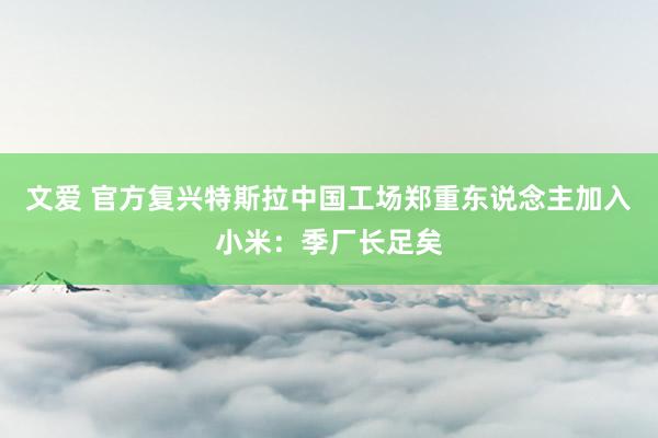 文爱 官方复兴特斯拉中国工场郑重东说念主加入小米：季厂长足矣