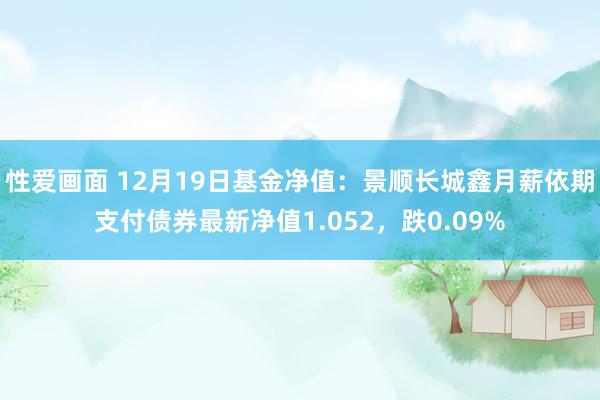 性爱画面 12月19日基金净值：景顺长城鑫月薪依期支付债券最新净值1.052，跌0.09%