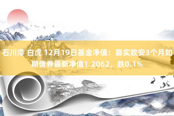 石川澪 白虎 12月19日基金净值：嘉实致安3个月如期债券最新净值1.2062，跌0.1%