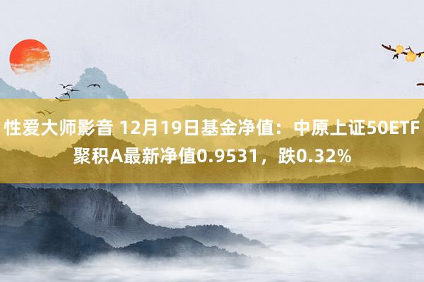 性爱大师影音 12月19日基金净值：中原上证50ETF聚积A最新净值0.9531，跌0.32%