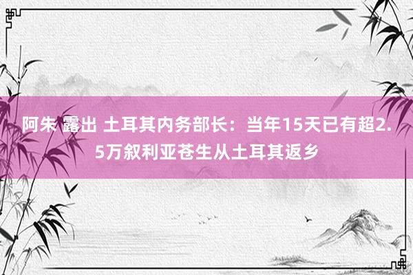 阿朱 露出 土耳其内务部长：当年15天已有超2.5万叙利亚苍生从土耳其返乡