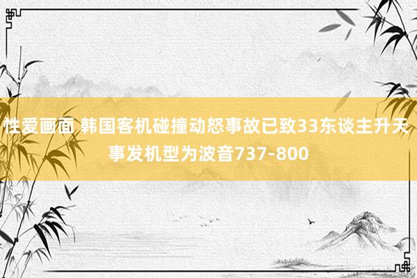 性爱画面 韩国客机碰撞动怒事故已致33东谈主升天 事发机型为波音737-800