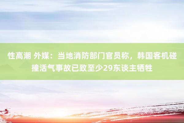 性高潮 外媒：当地消防部门官员称，韩国客机碰撞活气事故已致至少29东谈主牺牲