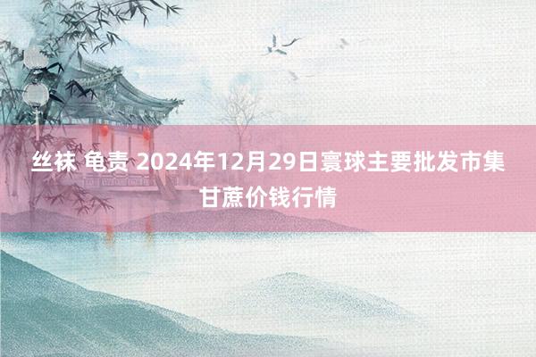 丝袜 龟责 2024年12月29日寰球主要批发市集甘蔗价钱行情