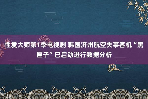 性爱大师第1季电视剧 韩国济州航空失事客机“黑匣子”已启动进行数据分析