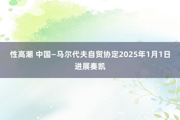 性高潮 中国—马尔代夫自贸协定2025年1月1日进展奏凯