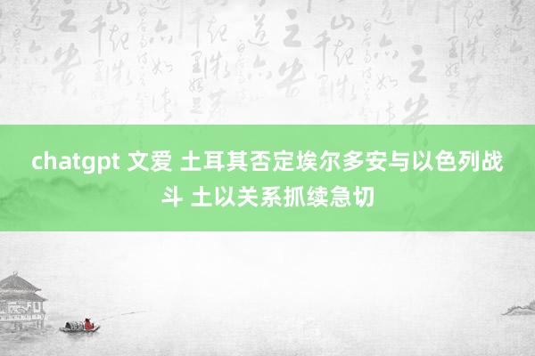 chatgpt 文爱 土耳其否定埃尔多安与以色列战斗 土以关系抓续急切